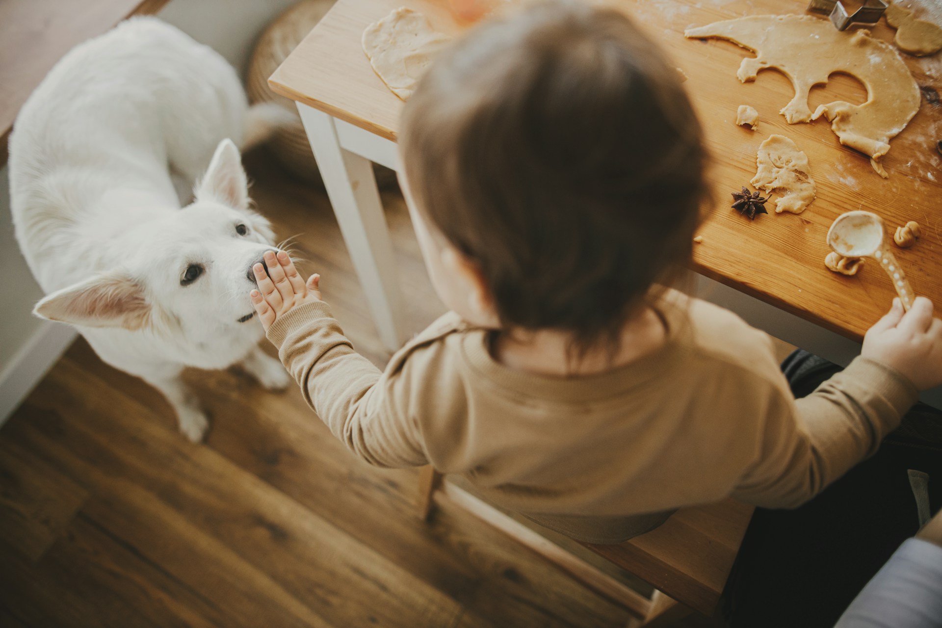 Kid and pet-friendly flooring